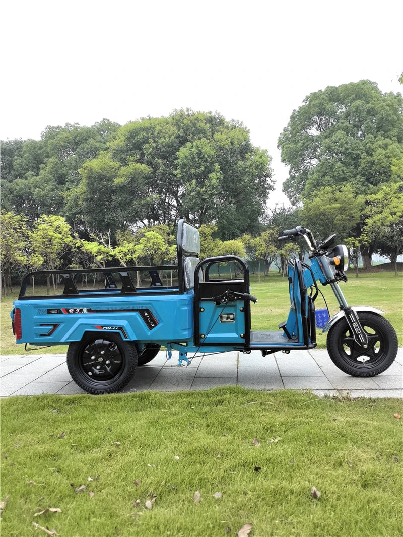 Open Electric Tricycles 48v Voltage Car For Passengers & Elderly Commuting