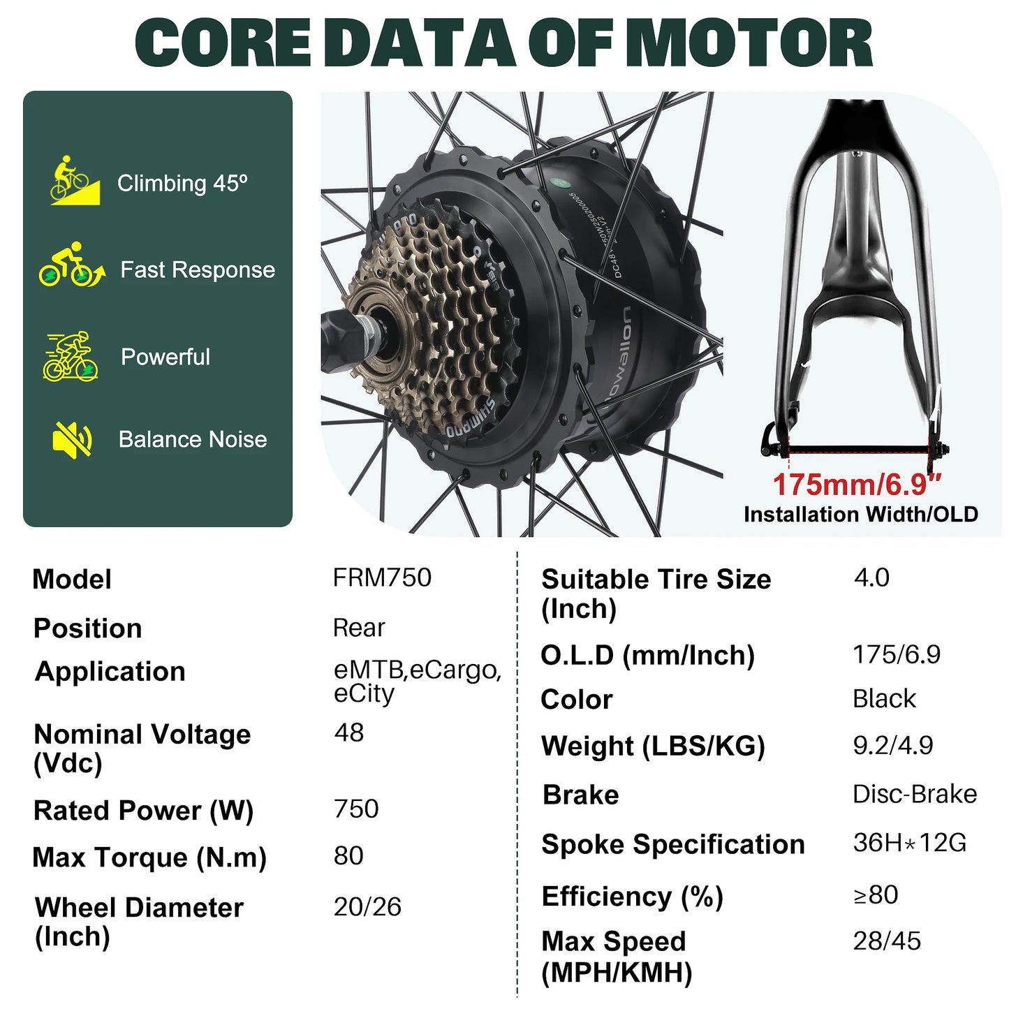 Fat Tire Electric Bike Conversion Kit - 20"/26" 750W Rear Hub Motor E-Bike Complete Kit, Cruise Control & Multi-Drive Mode