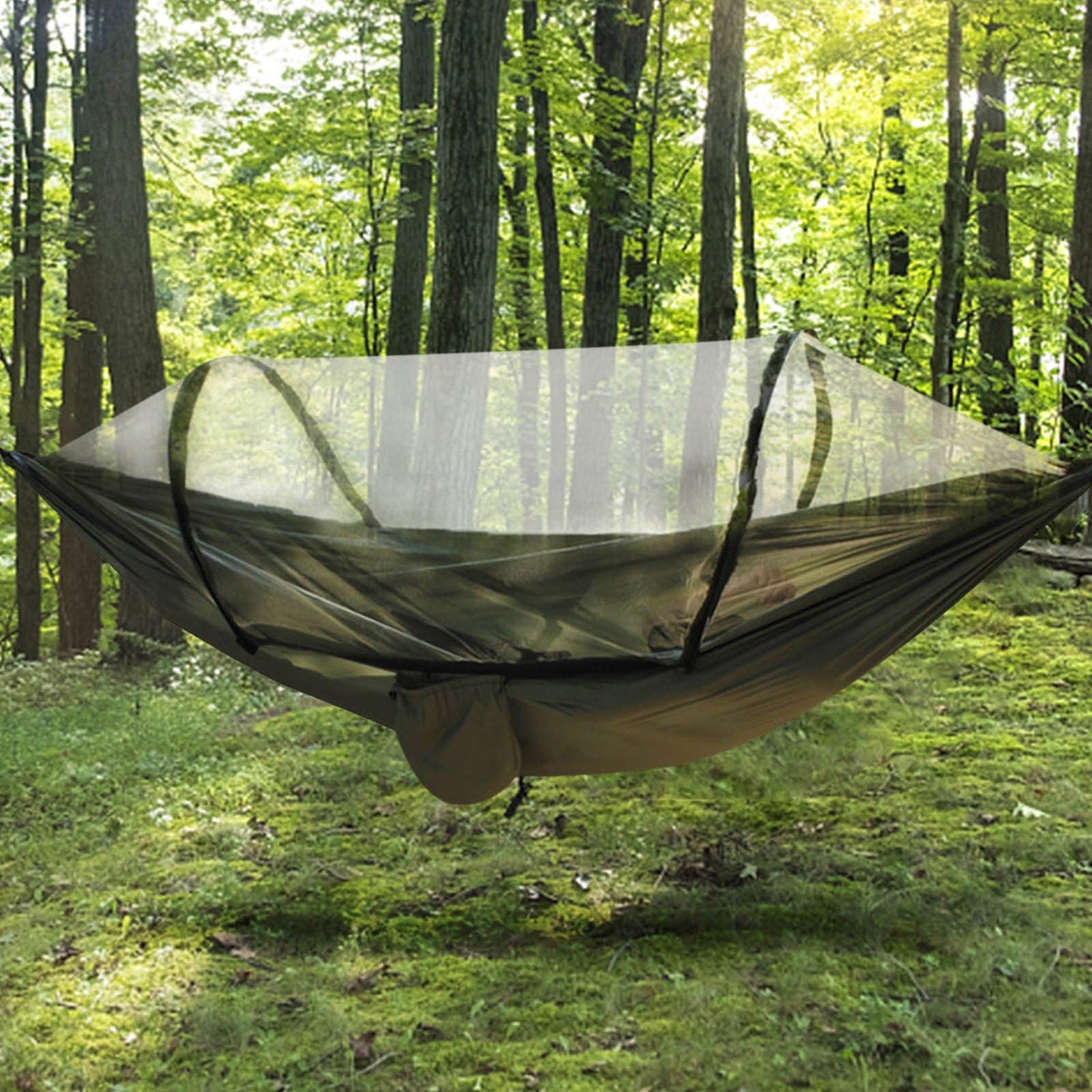 Hammocks